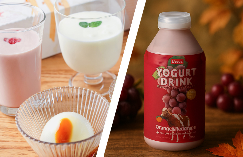 Boccaのおいしい詰め合わせ